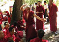 Monks debating